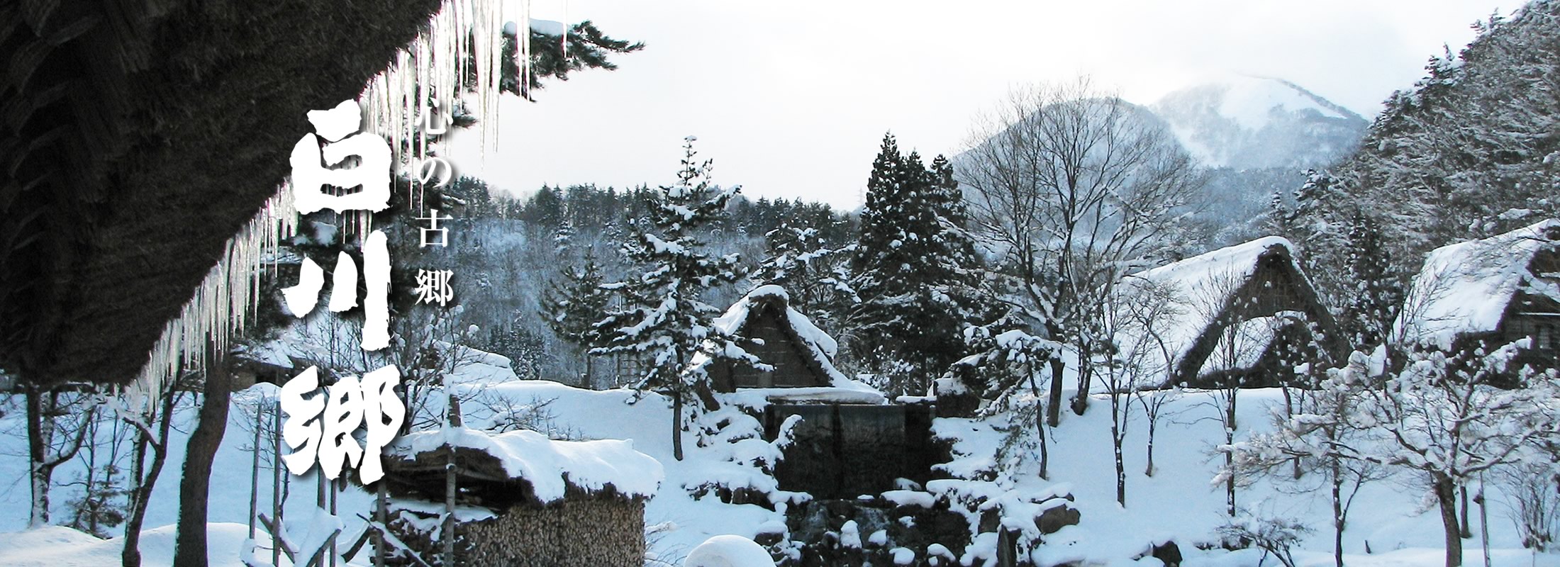 白川郷 野外博物館 合掌造り民家園