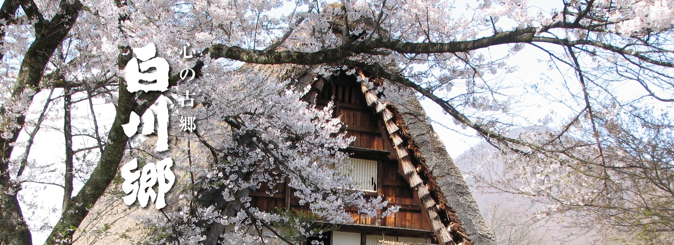 白川郷 野外博物館 合掌造り民家園