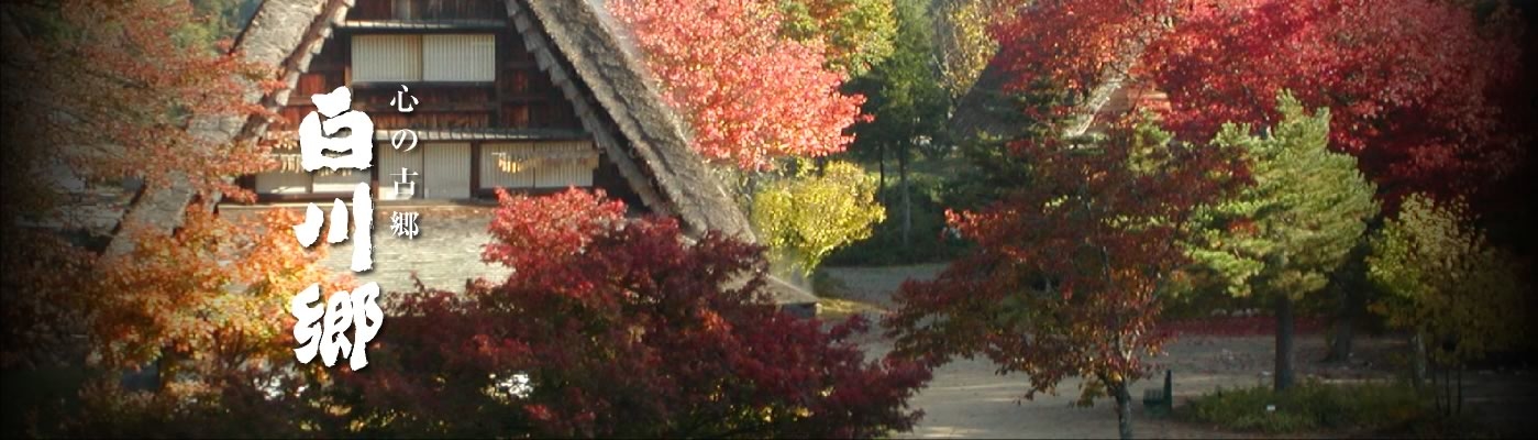 白川郷 野外博物館 合掌造民家園